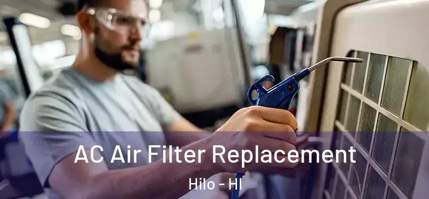  AC Air Filter Replacement Hilo - HI
