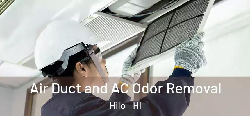 Air Duct and AC Odor Removal Hilo - HI