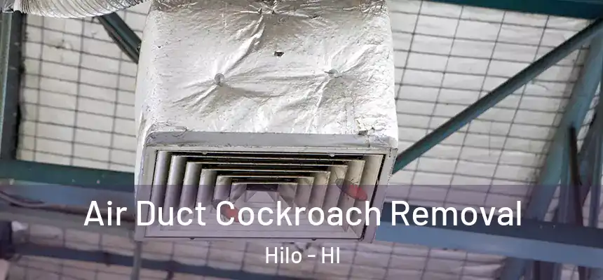 Air Duct Cockroach Removal Hilo - HI