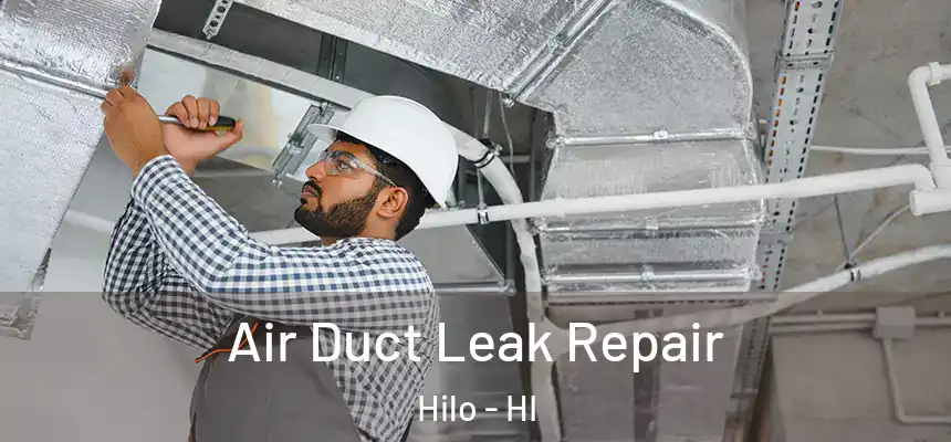 Air Duct Leak Repair Hilo - HI