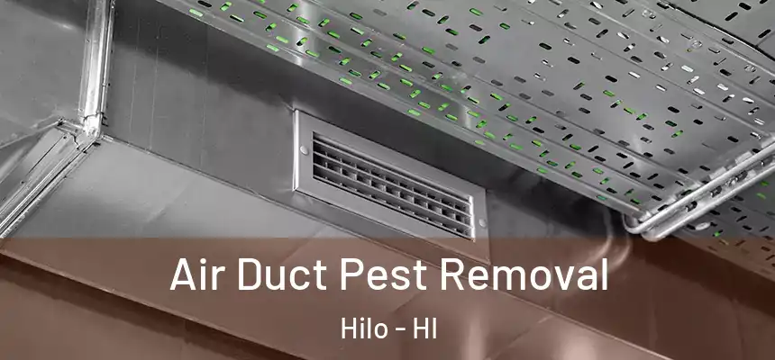  Air Duct Pest Removal Hilo - HI