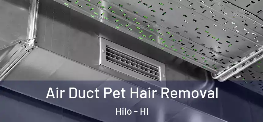  Air Duct Pet Hair Removal Hilo - HI