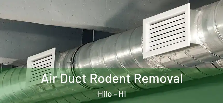 Air Duct Rodent Removal Hilo - HI