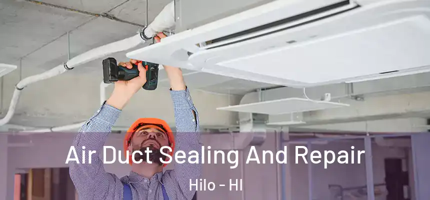  Air Duct Sealing And Repair Hilo - HI