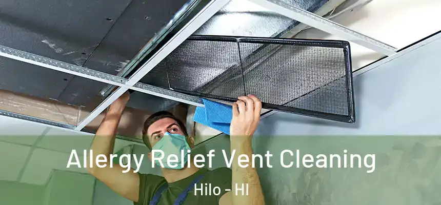 Allergy Relief Vent Cleaning Hilo - HI