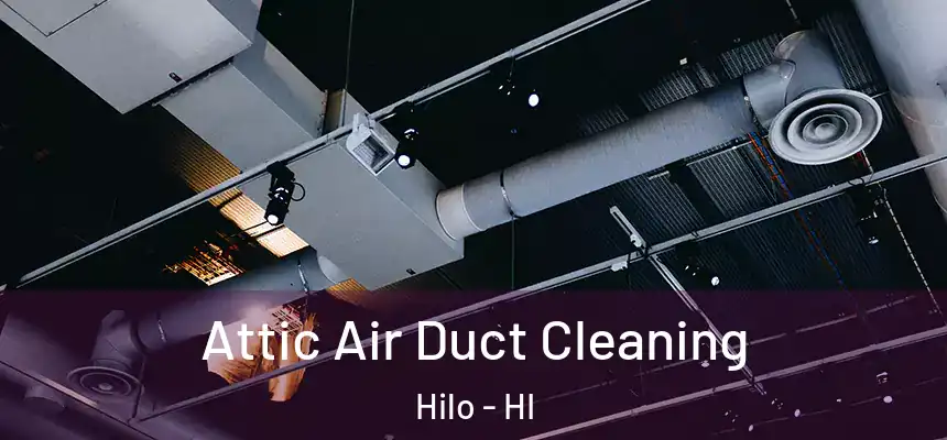 Attic Air Duct Cleaning Hilo - HI