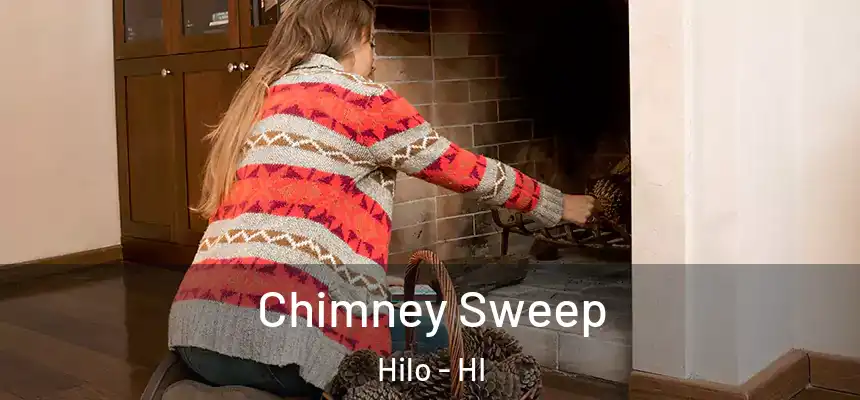  Chimney Sweep Hilo - HI