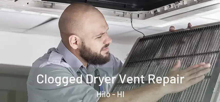 Clogged Dryer Vent Repair Hilo - HI