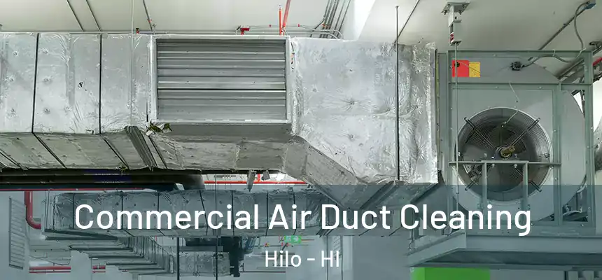  Commercial Air Duct Cleaning Hilo - HI