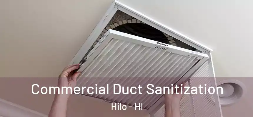  Commercial Duct Sanitization Hilo - HI