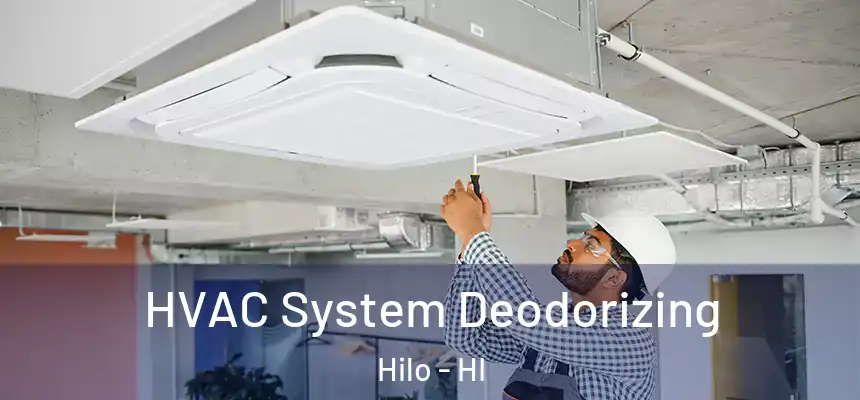 HVAC System Deodorizing Hilo - HI