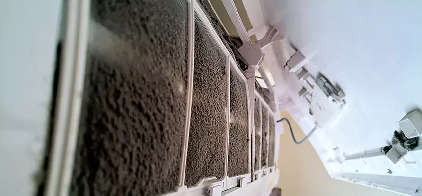 Preventive Air Duct Bacteria Removal in Hilo