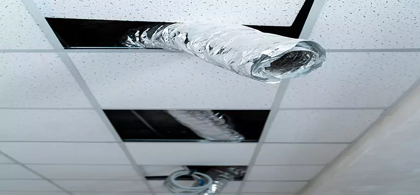 Affordable HVAC Sanitizing After Pest Removal in Hilo