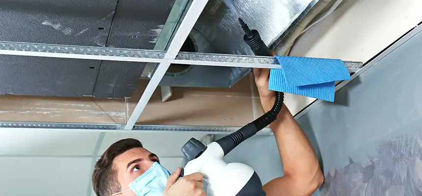 Our Air Duct Rodent Removal Services in Hilo, HI