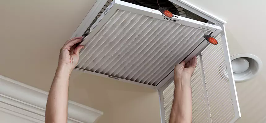 Our Insect Removal from Air Ducts Services in Hilo, HI