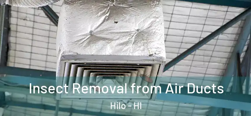 Insect Removal from Air Ducts Hilo - HI