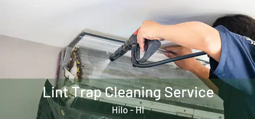  Lint Trap Cleaning Service Hilo - HI