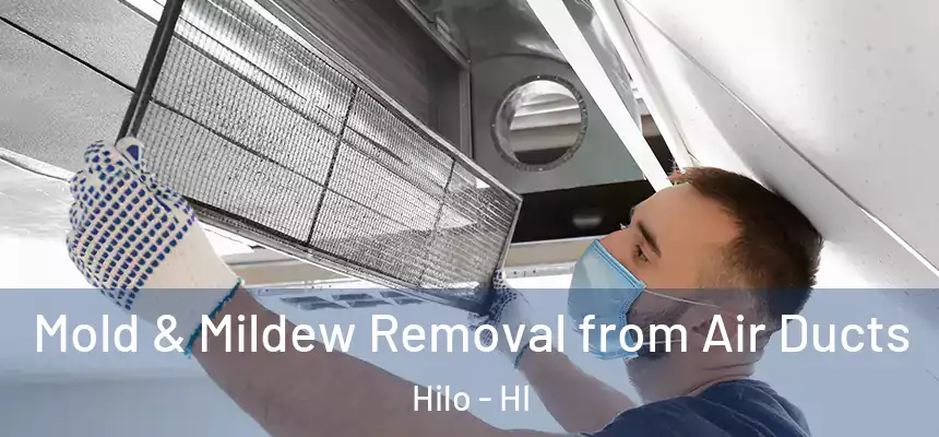 Mold & Mildew Removal from Air Ducts Hilo - HI