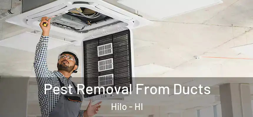  Pest Removal From Ducts Hilo - HI