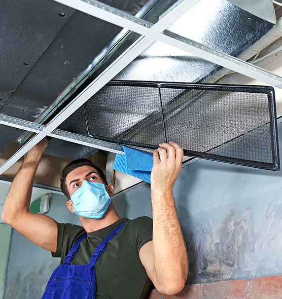 About Air Duct Bacteria Removal in Hilo