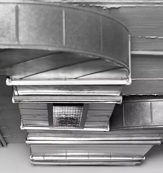 Professional Air Duct Pet Hair Removal in Hilo, HI