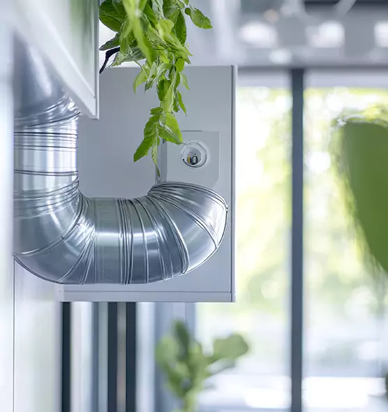 Professional Eco-Safe Dryer Vent Cleaning in Hilo, HI