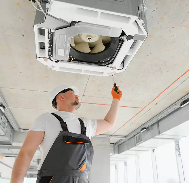 Why Homeowners & Businesses Trust Us in Hilo, HI?