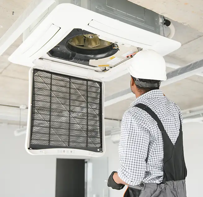 Why Homeowners & Businesses Trust Us in Hilo, HI?