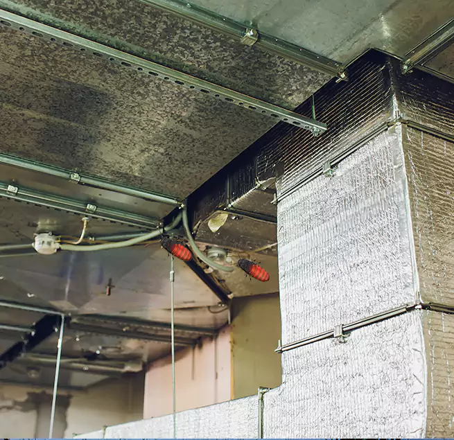 Why Homeowners & Businesses Trust Us in Hilo, HI?