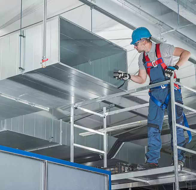 Why Homeowners & Businesses Trust Us in Hilo, HI?