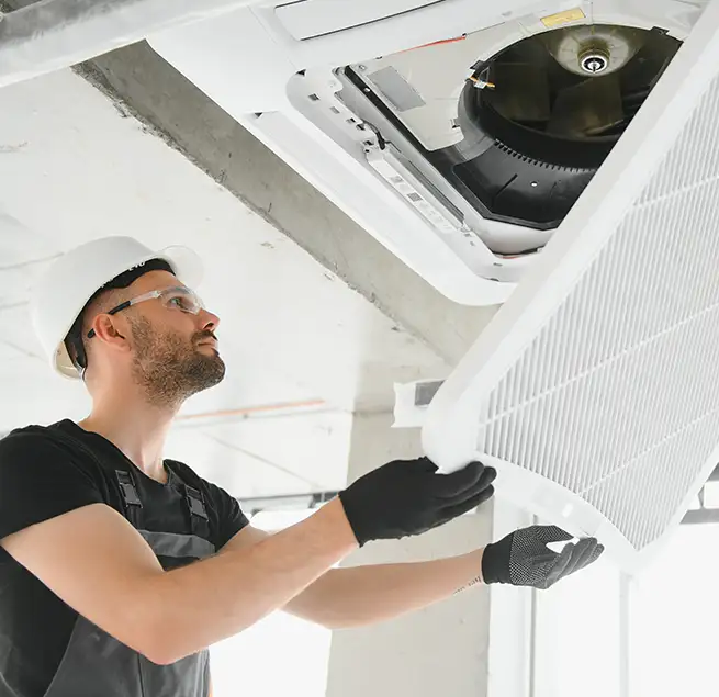 Why Homeowners & Businesses Trust Us in Hilo, HI?