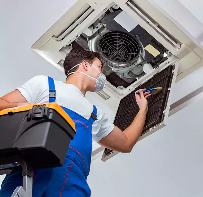 Why Homeowners & Businesses Trust Us in Hilo, HI?