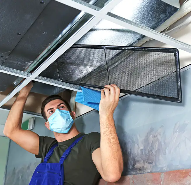 Why Homeowners & Businesses Trust Us in Hilo, HI?