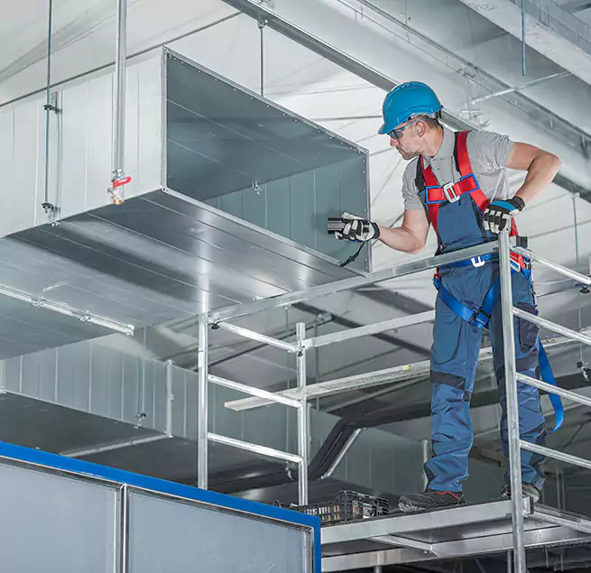 Why Homeowners & Businesses Trust Us Hilo, HI