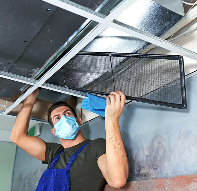 Why Homeowners Businesses Trust Us in Hilo, HI?